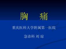 胸痛 ppt课件