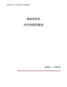 铜丝球项目可行性研究报告（总投资18000万元）（76亩）