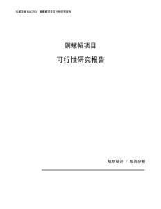 铜螺帽项目可行性研究报告（总投资8000万元）（37亩）
