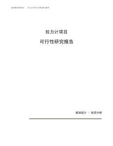 拉力计项目可行性研究报告（总投资8000万元）（33亩）