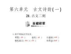 2011年《随堂优化训练》语文 语文版 九年级下册 第六单元第21课《古文二则》优秀课件