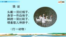 部編人教版小學(xué)四年級(jí)下冊(cè)語(yǔ)文《15 白鵝》共2課時(shí)PPT課件57