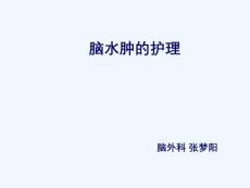 脑水肿护理