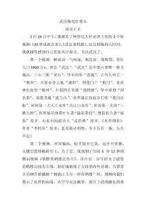 武漢梅花紅枝頭