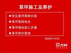 草坪相关--施工工艺