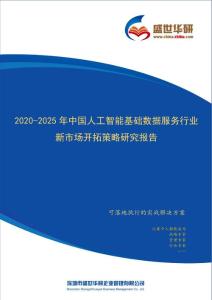 【完整版】2020-2025年中国人工智能基础数据服务行业新市场开拓策略研究报告