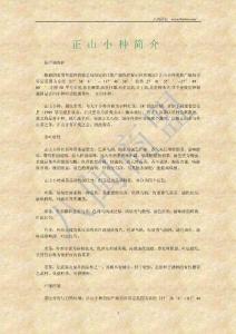 正山小种简介