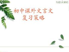 初中课外文言文复习总体策略