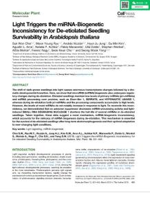 Light Triggers the miRNA-Biogenetic Inconsistency for De-etiolated Seedling Survivability in Arabidopsis thaliana+sup