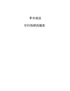 手巾項目可行性研究報告模板