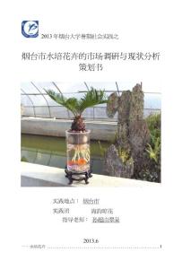 水培花卉策劃書終稿.