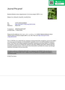 Bacterial effectors induce oligomerization of immune receptor ZAR1 in vivo