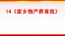 14《家乡物产养育我》部编版道德与法制二年级上册课件