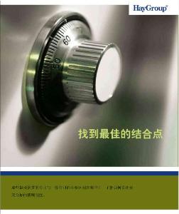 找到最佳結(jié)合點(diǎn)-薪酬管理-HAY