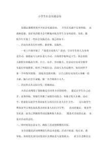 小學(xué)生社會實踐總結(jié)1