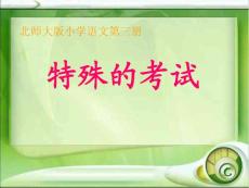 二年級(jí)語文《特殊的考試》PPT課件