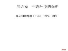 单元归纳检测（十二）（含第5、6章）