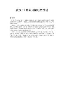 【精品】2011年武汉房地产市场研究报告