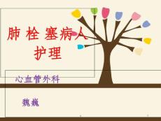 肺栓塞课件