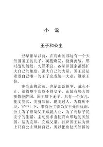 王子和公主