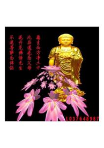 观音保佑大家平安