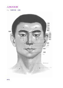 人体穴位-国家针灸穴位取穴标准