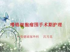 嗜铬细胞瘤ppt课件