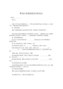 黑龍江省委托拍賣合同范文