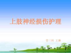臂丛神经损伤护理ppt课件