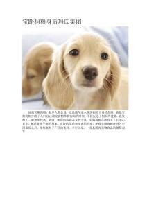 寶路狗糧身后瑪氏集團(tuán)
