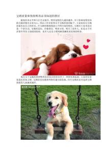 寶路質(zhì)量和狗狗喂養(yǎng)必須知道的禁區(qū)