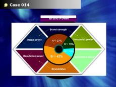 ppt模版case014