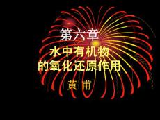 第六章_水中有機物的氧化還原作用
