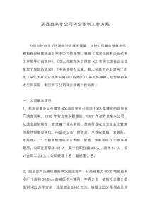 自來水公司轉(zhuǎn)企改制工作方案word