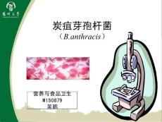 炭疽杆菌（课堂ppt）