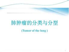 肺肿瘤分类