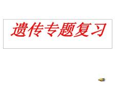 新高考遗传专题复习