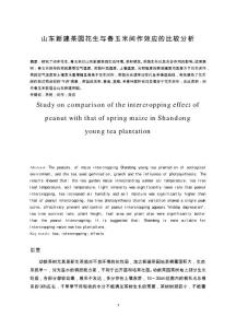 （資料）山東新建茶園花生與春玉米間作效應(yīng)的比較分析  畢業(yè)論文
