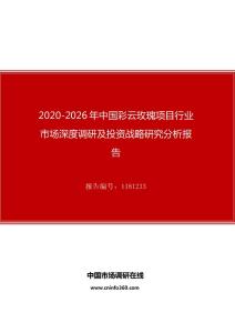 2020年中国彩云玫瑰项目行业市场深度调研及投资战略研究分析报告