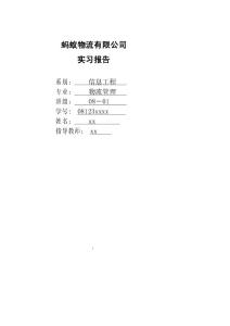 【精品】蚂蚁物流有限公司实习报告