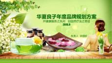 華夏良子年度品牌規(guī)劃方案