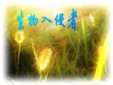 19生物入侵者(2)
