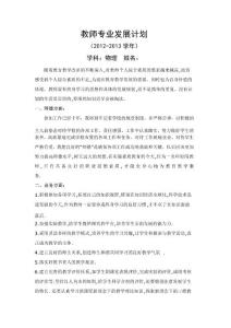 中学物理教师专业发展计划