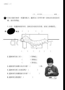 用放大镜仔细看一看蚕的样子蚕的身上有些什麼