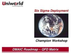 106QFDMatrix