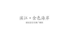 滨江·金色海岸规划定位与推广案例
