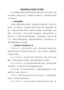 公開(kāi)承諾工作總結(jié)