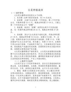 大白菜栽培技術(shù)