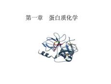 北京大学生物化学课件02(上)