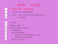 化工文献多媒体4——第四章    专利文献